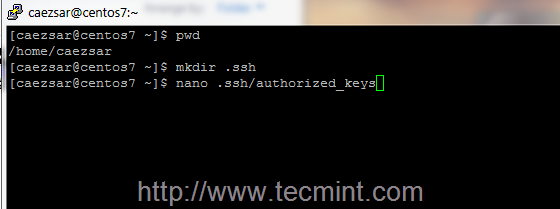 Linux Ssh Generate Server Keys